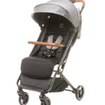 Прогулянкова коляска 4Baby TWIZZY XXII Grey